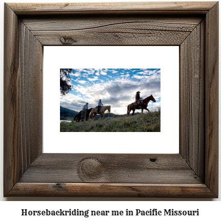 horseback riding near me in Pacific, Missouri